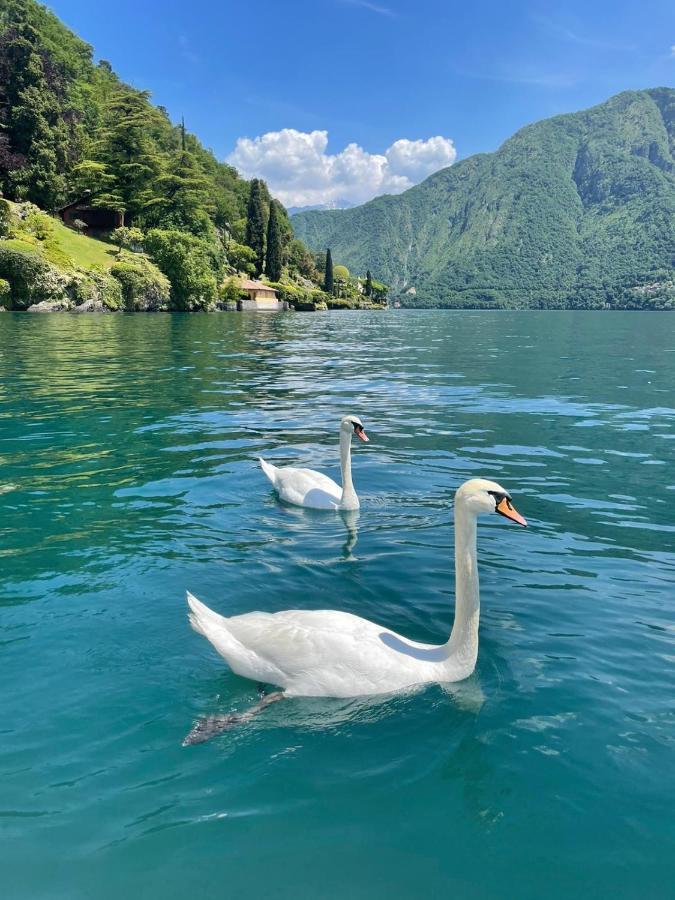 Casacamelia 35, 3 Bdrm With View Lake Como Acquaseria Exterior foto